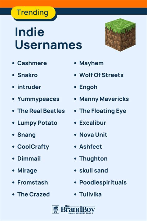 Minecraft Usernames: 800+ Catchy and Cool names - Bizagility