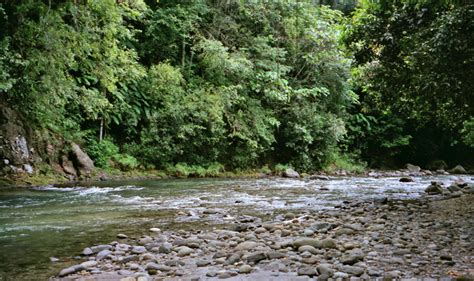 Dominica, the Nature Island - Travel Photos by Galen R Frysinger, Sheboygan, Wisconsin