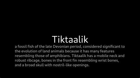 Tiktaalik - YouTube