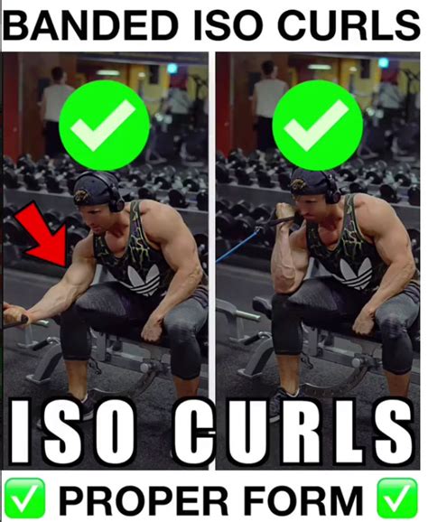 Banded Isolation Bicep Curls Proper Technique | Video & Guide