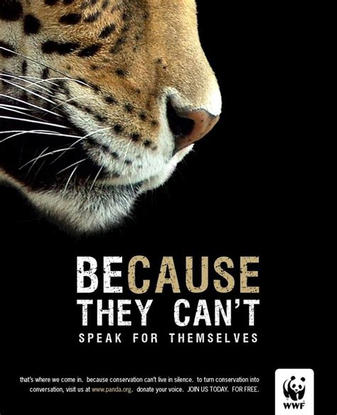 Conservation- Because they can't speak for themselves. WWF | Animal ...