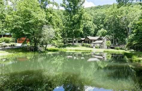 13 Pet-Friendly Cabins with Fenced Yards in Asheville, North Carolina - Doggy Check In