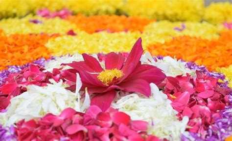 Interesting Facts about Onam the Harvest Festival of Kerala, 10 Days of Onam Signify | ParentCircle