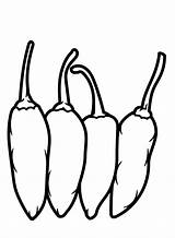 40  Chili Pepper Coloring Pages Free Printable PDF JPG PNG & Online sketch template