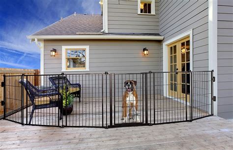 Cheap Dog Fence | The Best Affordable Fencing for Dogs