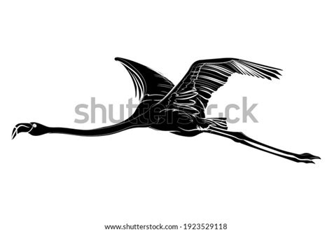 Black Silhouette Flying Flamingo On White Stock Vector (Royalty Free ...