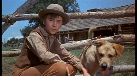 Tommy Kirk as Travis Coates in Old Yeller - Old Yeller Photo (38547130) - Fanpop