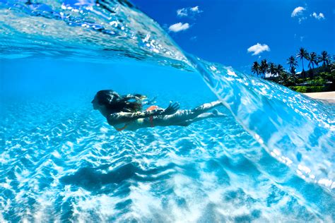 Paradise Swim In Crystal Clear Water, Hawaii. - FROTHERS GALLERY