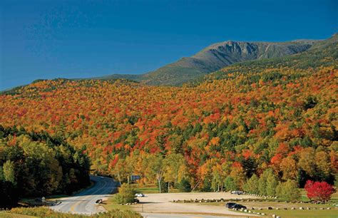 White Mountains Fall Foliage Tracker | Find Peak Colors