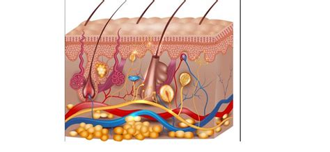 What Causes Dry Feet?. On average, our feet take about 5,000… | by ...