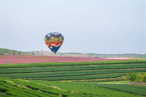 Premium Photo | Balloon festival singha park international balloon fiesta