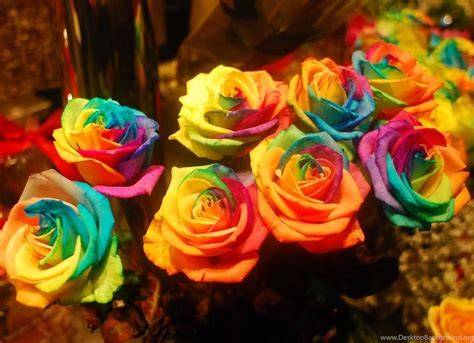 RAINBOW ROSES WALLPAPER ( Desktop Background