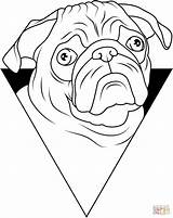 Pug Dog Portrait coloring page  Free Printable Coloring Pages sketch template