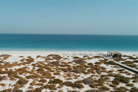 Saadiyat Beach Club in Abu Dhabi is now open to the public | Things To Do | Time Out Abu Dhabi