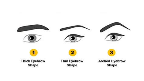 Personality Test: Your Eyebrow Shape Reveals Your Hidden Personality Traits