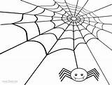 Printable Spider Web Coloring Pages For Kids  Cool2bKids sketch template