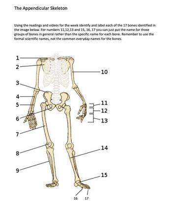 Answered: The Appendicular Skeleton Using the… | bartleby