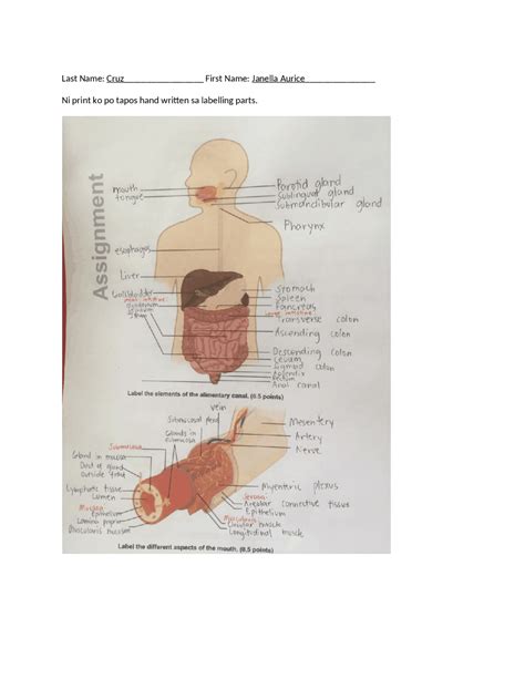 Anatomy and Physiology Lab - Docsity