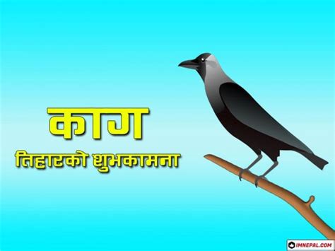 50 Happy Kag Tihar (Crow Puja) Greeting Cards & Wishes Images