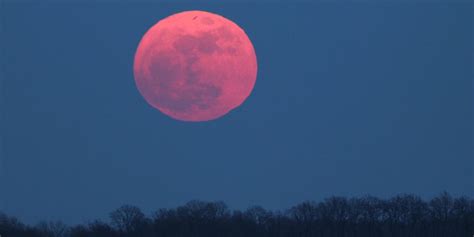 A Pink Moon Is Happening This Week—Here's How You Can See It