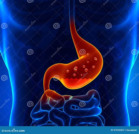 Gastric Acid Stock Photos - Image: 37933303