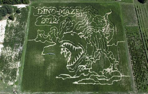 Ohio's #1 Corn Maze | Best Corn Maze in Hartville, Ohio