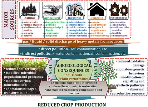 💐 Sources of soil contamination. What is an example of source ...