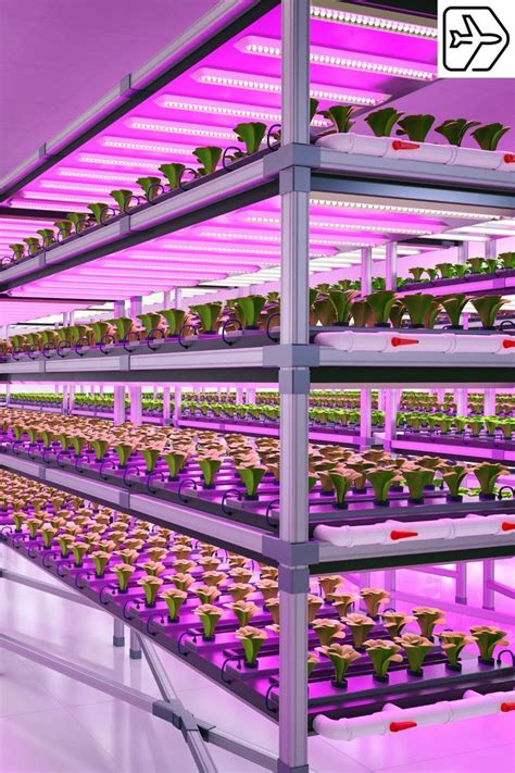 Was ist vertical farming netzpiloten de – Artofit