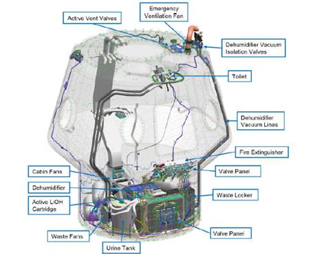 Spacex Dragon Capsule Interior Diagram / Speculative Internal Layout Of Spacex Starship By ...