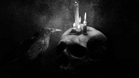 Gothic Raven Skull HD wallpaper | Pxfuel