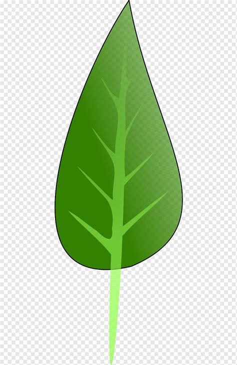 Product design Leaf Triangle Green, Leaf, angle, leaf, triangle png ...