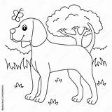 Coonhound Dog Coloring Page For Kids Stock Vector  Adobe sketch template