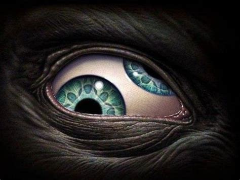 Tool eye | Tool band art, Eyes artwork, Tool band artwork