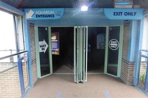 SeaLife Adventures Southend - ZooChat