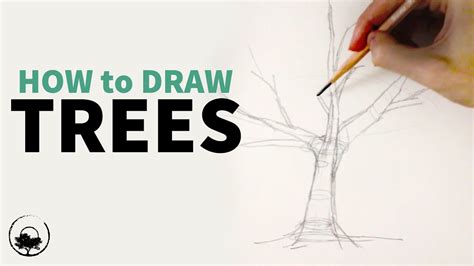 How To Draw Trees - Draw Spaces