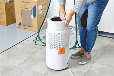 A Comprehensive Guide to Air Purifiers for Mold and Mildew Prevention