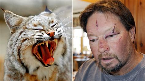 Bobcat Mauls Two In US Garage Attack | US News | Sky News