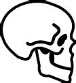 Skull Bones icon PNG and SVG Vector Free Download