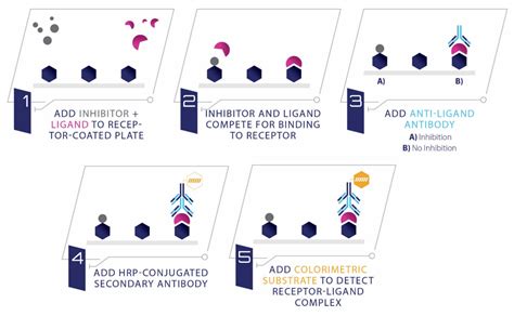 Ligand Binding Assays | RayBiotech