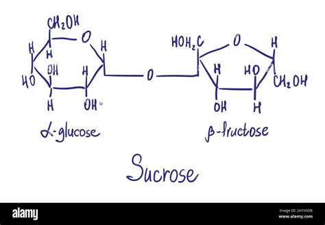 Estructura De La Sacarosa