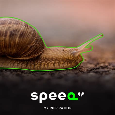 Speed Logo and Branding on Behance