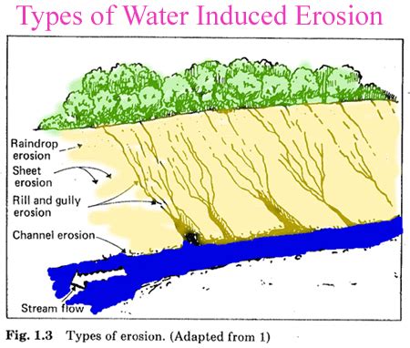 Stream Erosion Diagram submited images.