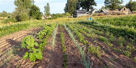 Permaculture Farming: The Ultimate Guide and Examples | GroCycle