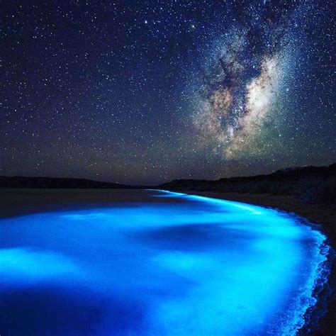 Bioluminescent-Glowing-Plankton-on-Koh-Rong-Island-in-Cambodia ...