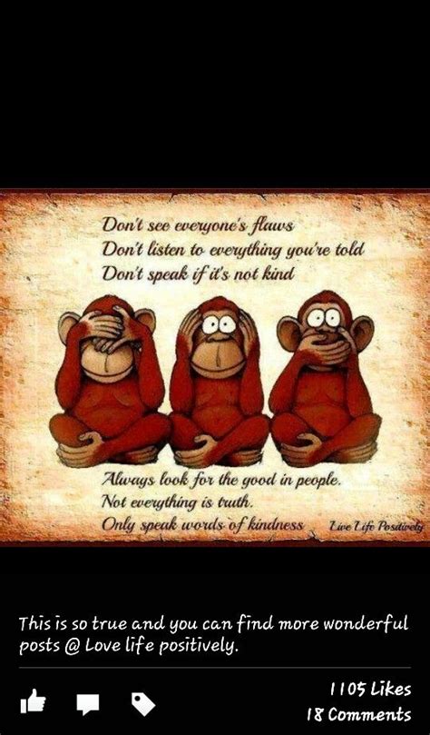 Funny Monkey Sayings Humor - Quotes About Monkeys For Babies. QuotesGram / Funny monkey trying ...