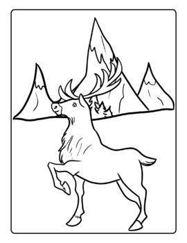 Mountain Animals Coloring Pages by Qetsy | TPT