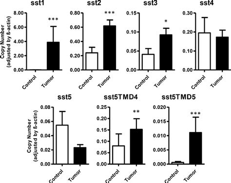 Expression of somatostatin receptors in GEP-NETs and adjacent non-tumor... | Download Scientific ...