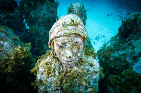 Underwater Sculpture, Part 1: “The Silent Evolution”