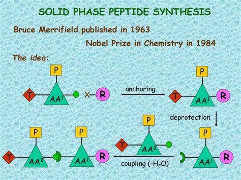 SOLID PHASE PEPTIDE SYNTHESIS