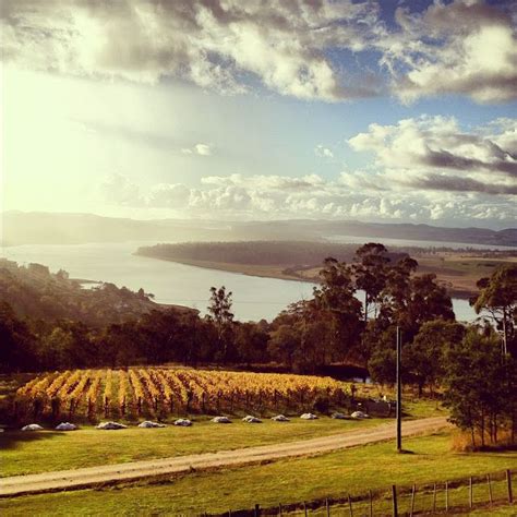 The Tamar Valley is a wine producing area in Tasmania. Increasingly noted for its fine cool ...